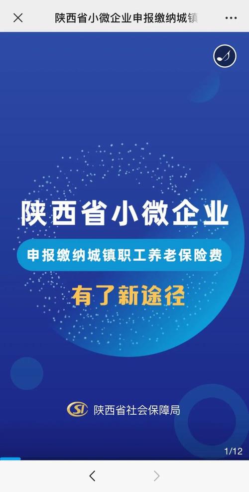 陕西：养老保险APP开通小微企业缴费自主申报服务(养老保险申报缴费企业服务) 99链接平台