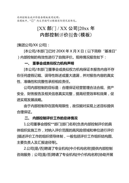 成都西菱动力科技股份有限公司 内部控制自我评价报告(公司内部控制更正差错报告) 软件开发