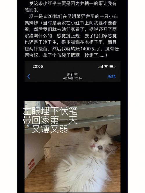 可别不会(绩效阳光医院小猫一只) 99链接平台