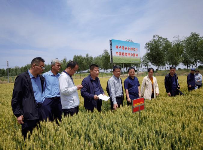 家门口上班月薪上万(小麦齐鲁月薪育种食品) 软件优化