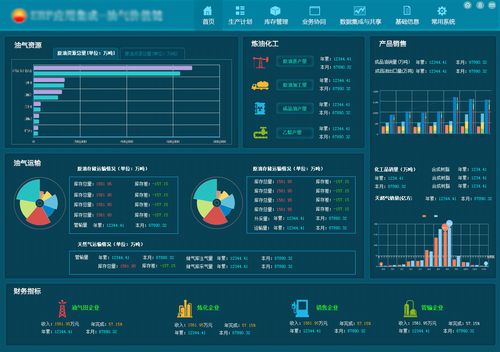 erp应用实施案例(长安实施公司系统项目) 软件开发