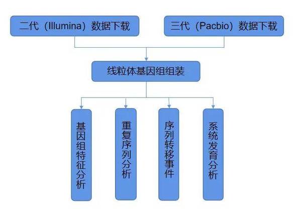 最全植物基因组数据平台 IMP中文教程（ 核基因组更新到 559 个植物）(基因组植物基因数据最全) 99链接平台