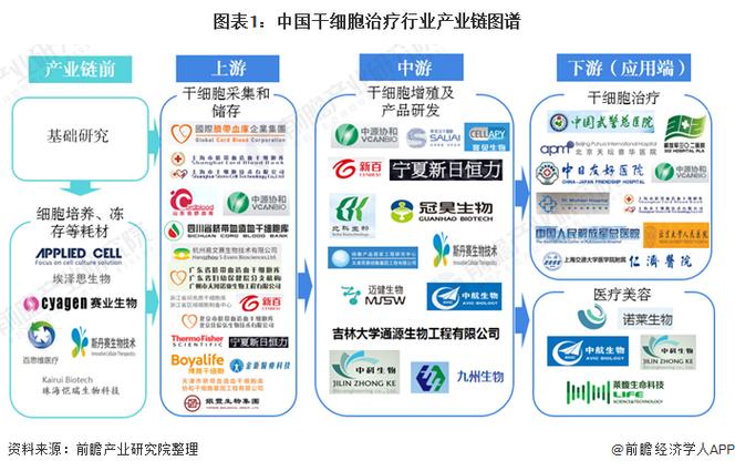 莞企联手科研机构建干细胞全产业链(干细胞生物科技研究院粤港澳治疗) 软件优化