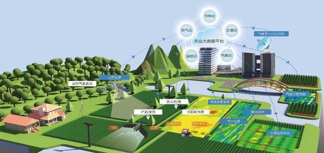 农业农村数字化转型：现实表征、影响机理与推进策略(农村数字农业数字化互联网) 软件开发