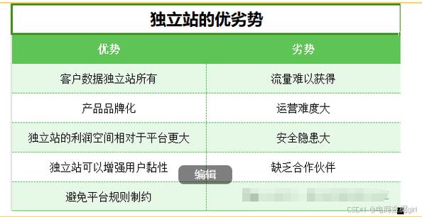 三大类电商独立站平台技术选型分析：费用、可行性、优劣势盘点(平台费用选型可行性盘点) 软件优化