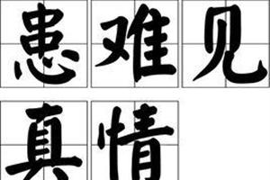 老板是我们熟悉的他，网友：患难见真情(公司两人患难老板真情) 软件优化