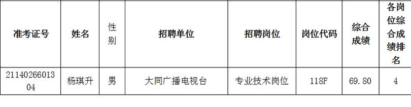 年薪14万！大同市经开区机关2024年招聘公告(大同聘用体检招聘人员) 软件优化