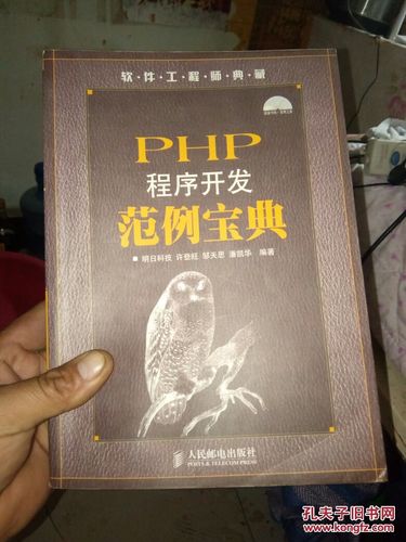 PHP程序开发范例宝典(技术范例程序开发宝塔镇上) 99链接平台