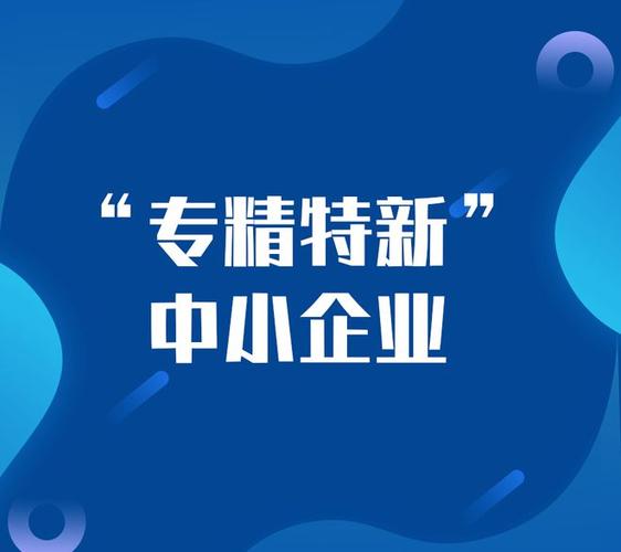 119家企业在列(中小企业企业万元培育支持) 软件优化