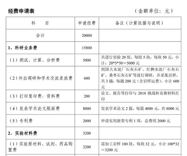 创业人才项目中期现场汇报考评通关攻略(宋体项目情况汇报指标) 软件优化