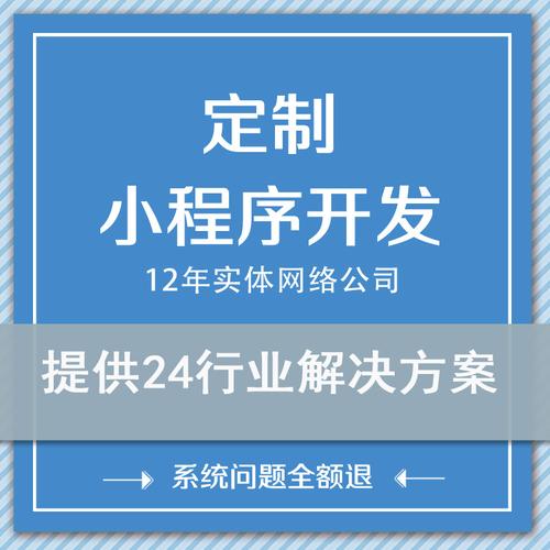 小程序开发...(服务器定制开发客户程序开发) 排名链接