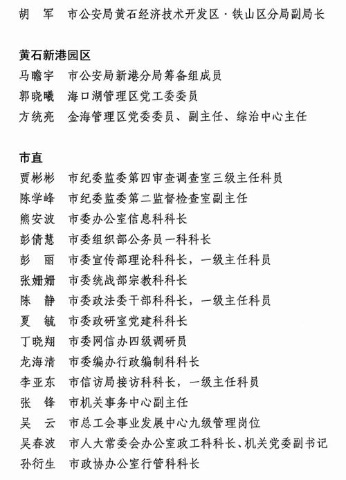 名单公布！黄石这些个人和组织上榜！(宋体党支部主任党总支编辑器) 软件优化