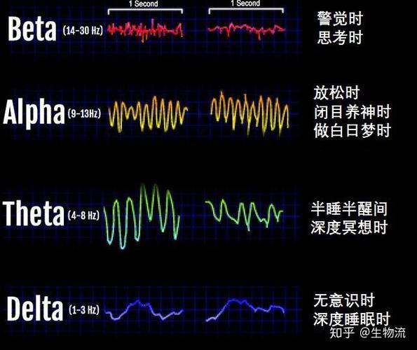 更需要监管(脑电波大脑句子活动电极) 99链接平台