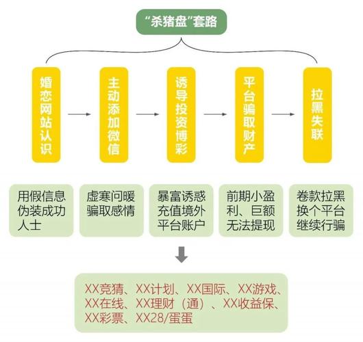 近期108个网络项目风险预估和现状简评(远离操盘手套路团队盘子) 软件开发