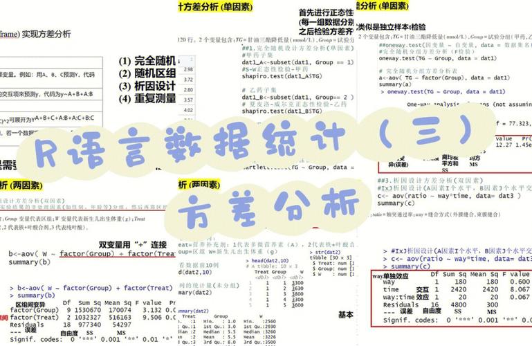 R语言简介(语言数据统计统计分析分析) 软件开发