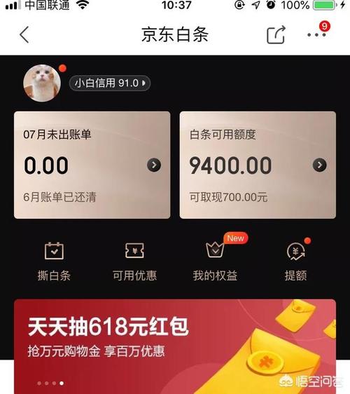 你的白条还在吗？(京东金融互联网白条银行) 软件优化