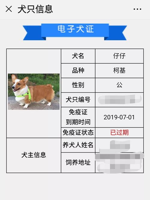 手机上就可为爱犬办理年检手续  2024年度北京养犬年检工作5月1日正式启动(年检养犬办理爱犬登记) 软件开发