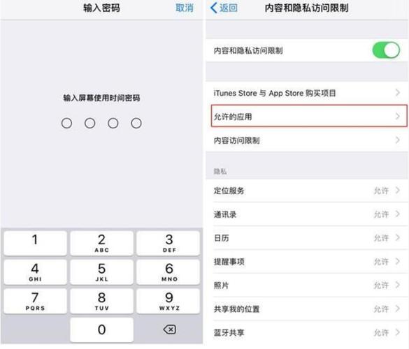 苹果 iPhone15 Pro如何设置应用加密？(加密隐藏苹果设置点击) 99链接平台