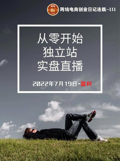 操作社交电商创业项目实操教程(社交平台模式虎牙红利) 99链接平台