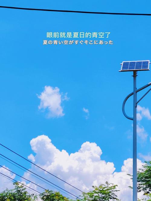 新歌《真的没时间》网易云\u0026QQ音乐\u0026汽水音乐 已上线☁️音乐(时间我真音乐新歌汽水) 排名链接