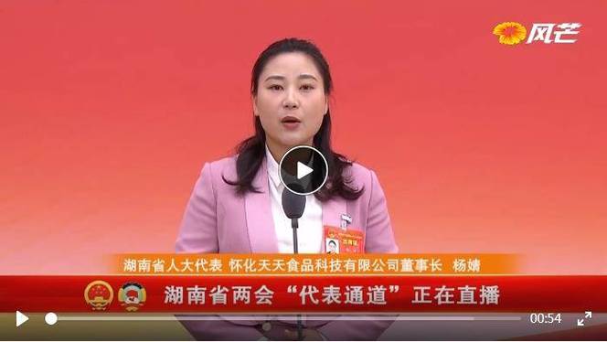 杨婧：成立两支创海小分队 把湖南米粉卖到东盟丨直击代表通道⑤(东盟水稻米粉国际小分队) 99链接平台