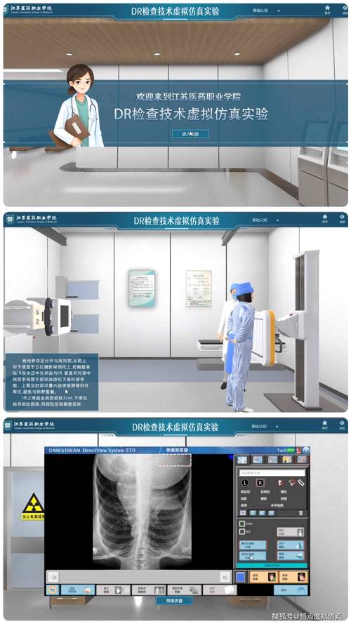 VR仿真在医疗行业的应用有哪些(医疗仿真手术行业虚拟) 软件开发