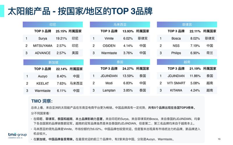 2024年市场洞察-电子商务营销软件行业报告(营销电子商务软件销量全球) 99链接平台