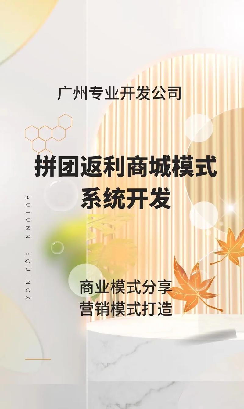 拼团返利系统开发(返利开发商品团长成团) 软件优化