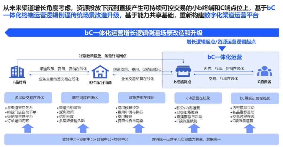 bC一体化打通渠道壁垒(渠道品牌消费者数字化营销) 软件开发