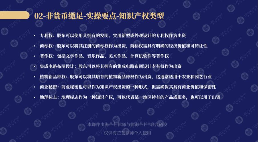 新《公司法》下知识产权出资实务分享(出资知识产权评估作价货币) 软件开发