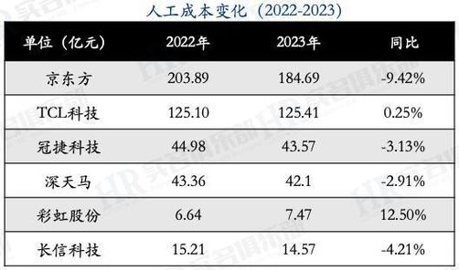 TCL电子2023年员工薪酬与人效(黑体海信薪酬电子与人) 软件开发