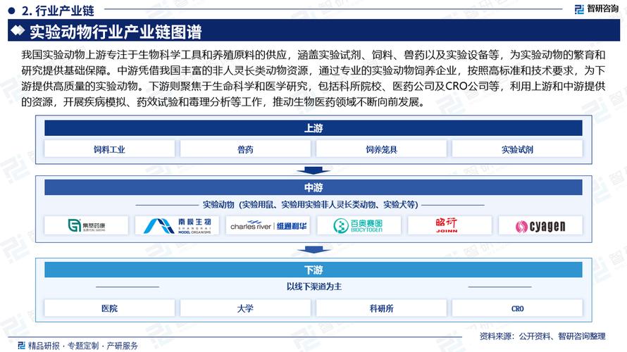 2024年中国短视频产业现状及发展趋势研究报告（智研咨询发布）(视频分析行业年中内容) 软件优化