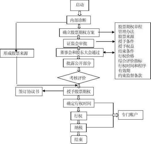 个股期权的参与流程和基本操作策略(期权交易客户权利金个股) 软件优化