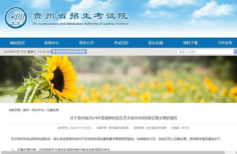 贵州省2024年高考志愿模拟填报通告(填报模拟志愿考生年高) 软件优化