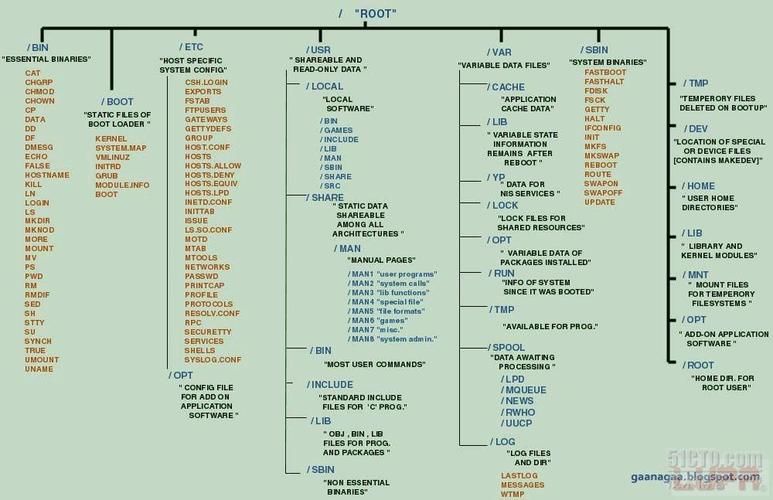 一文搞懂Linux系统开发(文件数据目录函数系统) 软件开发