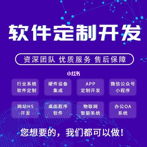 软件定制开发成败取决于哪些因素(开发软件定制成败取决于) 99链接平台