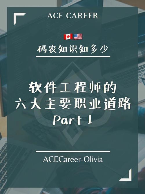 码农的春天 专业介绍之15.软件工程(软件工程软件专业开发测试) 软件优化