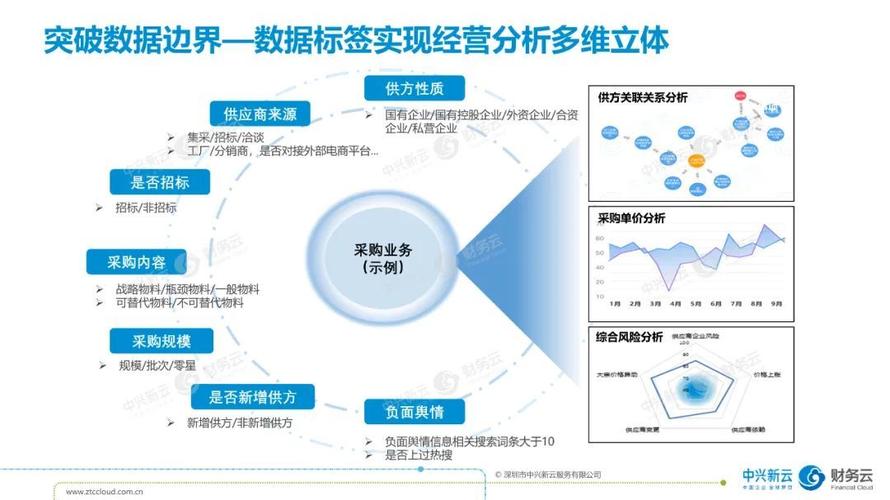 中兴新云孙彦丛：从共享服务到财务的数字化(财务数据共享数字化服务中心) 排名链接