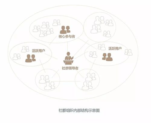 专业化、资本化、社群化或为发展方向(开封玩法发展方向专业化社群) 软件优化