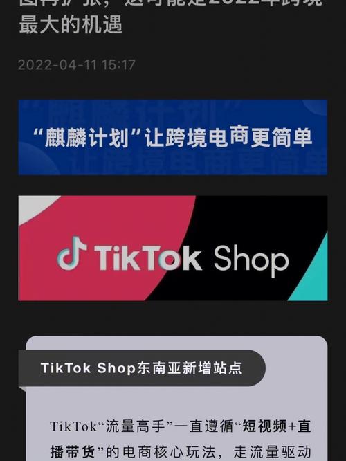 TikTok Ads广告开户教程及投放策略 TikTok投流独立站方法(广告投放策略开户方法) 排名链接