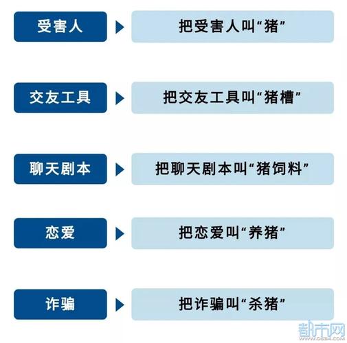 投资人血本无归！\"甜蜜诱惑\"背后，竟是\"杀猪盘\"大骗局！最新调查来了(万元来了骗局血本无归账号) 软件优化