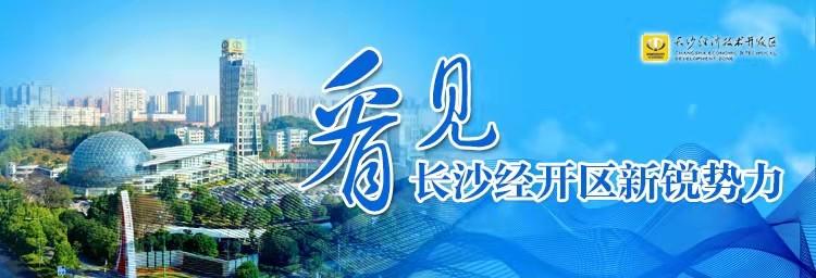 “三剑客”来长沙经开区创业 一年产值就达到1000万(新能源创业产值三剑客红网) 软件开发