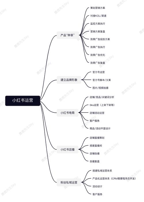 低预算下品牌小红书官方账号运营思路(小红粉丝笔记内容品牌) 排名链接