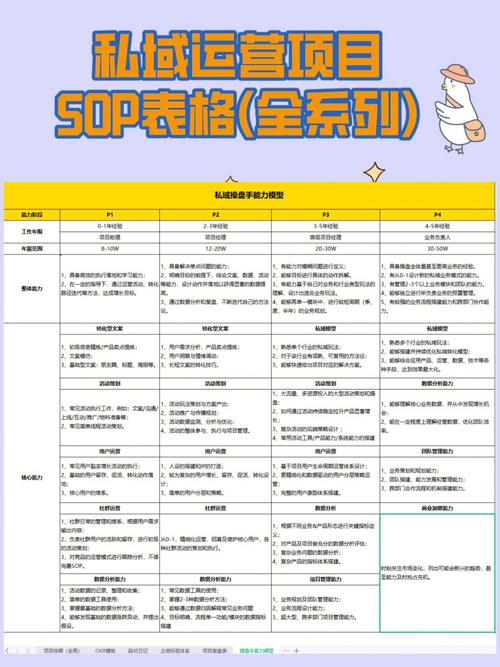 从立项到复盘私域项目SOP全套表格模板【完整版】(立项完整版表格项目模板) 软件优化