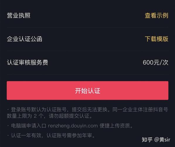 带你了解抖音「企业蓝v认证」(认证企业帐号审阅您的) 软件优化