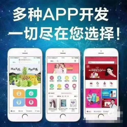 廊坊APP定制开发(定制开发小猫行业采用) 软件优化