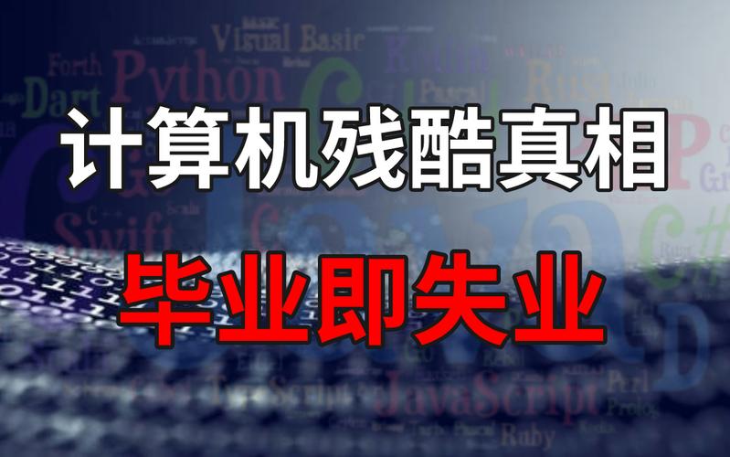 2024 年 IT 程序员就业形势分析及新机遇(程序员自己的需求技术技能) 软件开发