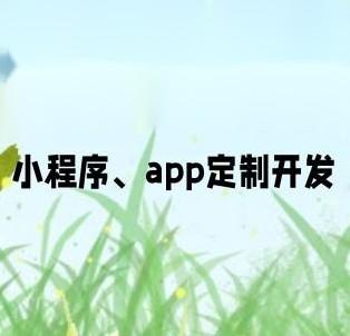 定做一款APP要多久？(开发时间需求客户定做) 软件开发