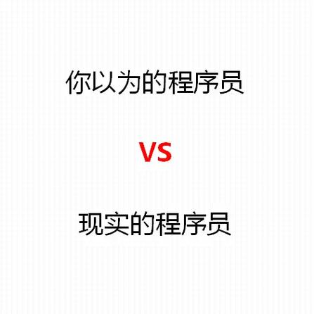 码农和程序员的区别(程序员技术区别态度代码) 99链接平台