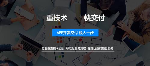 北京开发app的外包公司有哪些(公司开发外包项目中央军委) 软件开发